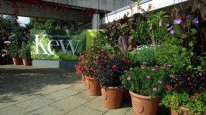 Kew Gardens exit    